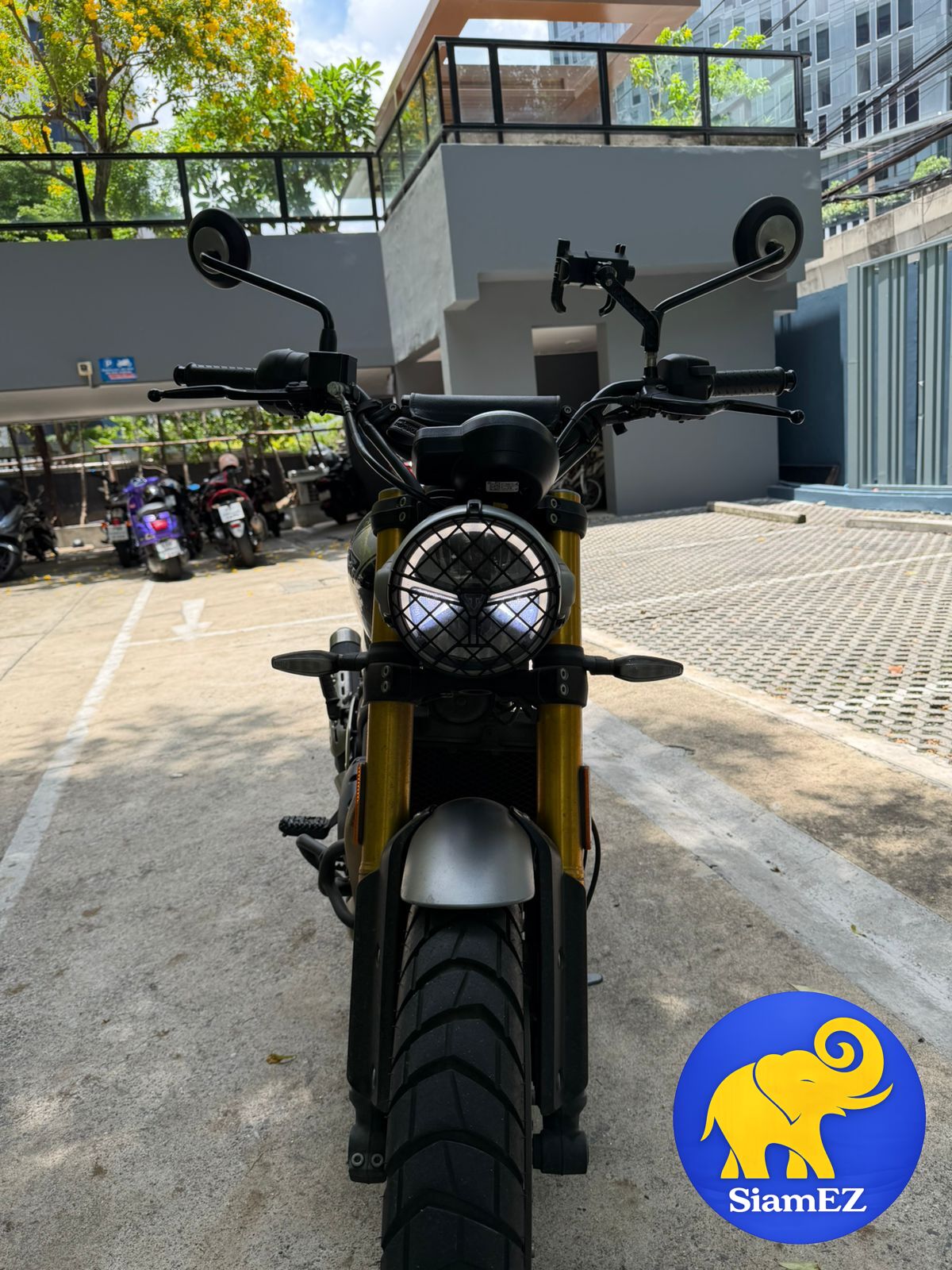 2024 Triumph Scrambler, 400X gallery 13